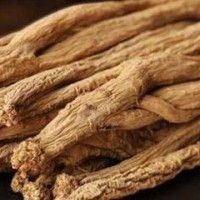求购黄精,黄连,黄芪,黄芩,连翘,胖大海,板蓝根,天南星