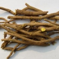 求购白术,葛根.葛根粉.鸢尾 元胡 远志.玉竹 芋藤根