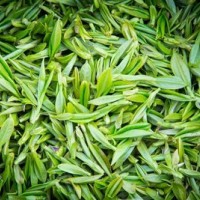 求购绿茶,红茶,普洱茶,铁观音,毛尖,龙井茶,黑茶,白茶