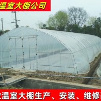 联合六型单体塑料管棚 种植蔬菜大棚水果大棚