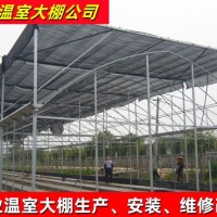 GLP-832型连栋薄膜温室大棚 塑料连体大棚