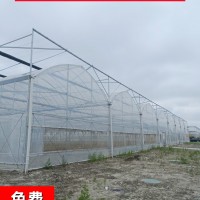 GSW-8430型连栋大棚 连栋塑料温室大棚