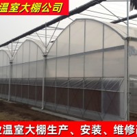 8430型连体温室大棚 联栋塑料大棚骨架