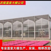 阳光板板连栋育苗温室大棚 GSW8445种植薄膜温室设备