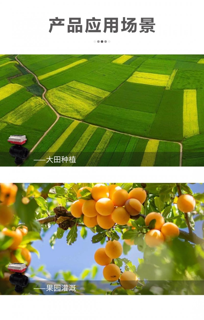 详情页-03