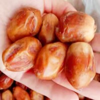 黄金椰枣批发电商货源伊拉克黑椰枣加工厂一件代发按需包装