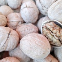 新疆优质核桃薄皮核桃厂家外贸出口一手货源跨境出口