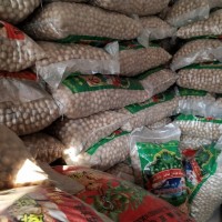 新疆核桃价格薄皮核桃厂家供应对接电商定制代工代发