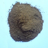 高能量饲料枣粉促消化易吸收 禽畜通用减少应激少生病