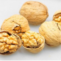 新疆薄皮核桃 皮薄果仁爆满 品质有保障可供电商一件代发代打包