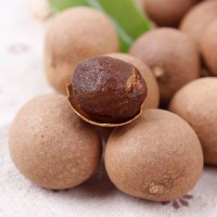 泰国桂圆干厂家一手货源核小肉厚品质好价格低可供电商批发商零售