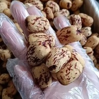 虎皮枣 去皮去核的新疆若羌红枣 电商爆品 支持电商一件代发