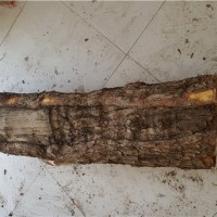 老料雷击枣木实心原木 可制作手工把玩配饰雕刻令牌等