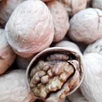 新疆核桃整箱整包批发价新货薄壳原味坚果零食家用囤货