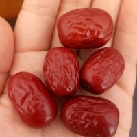新疆若羌红枣厂家直供  皮薄肉厚干吃超甜甜而不腻