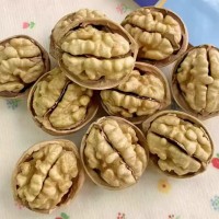 新疆核桃新货大量上市 源头货源支持批发 一件代发 量大有优惠
