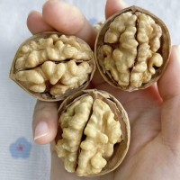 新疆薄皮核桃新货大量上市果仁饱满 价格低一手货源供应大量批发