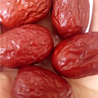 新疆若羌灰枣 原产地批发专供电商/食品厂/批发商零售货源充足