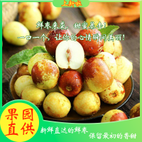 头茬山东鲜冬枣 基地代办直供支持电商一件代发整车发货