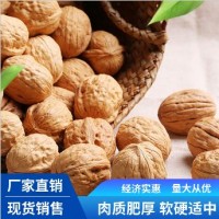 新疆133薄皮核桃新货上市大量批发价格低品质好
