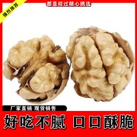 新疆薄皮核桃大量上市供应电商批发商零售