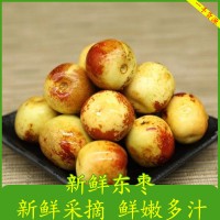 山东早熟冬枣靠谱代办电话基地现摘现发